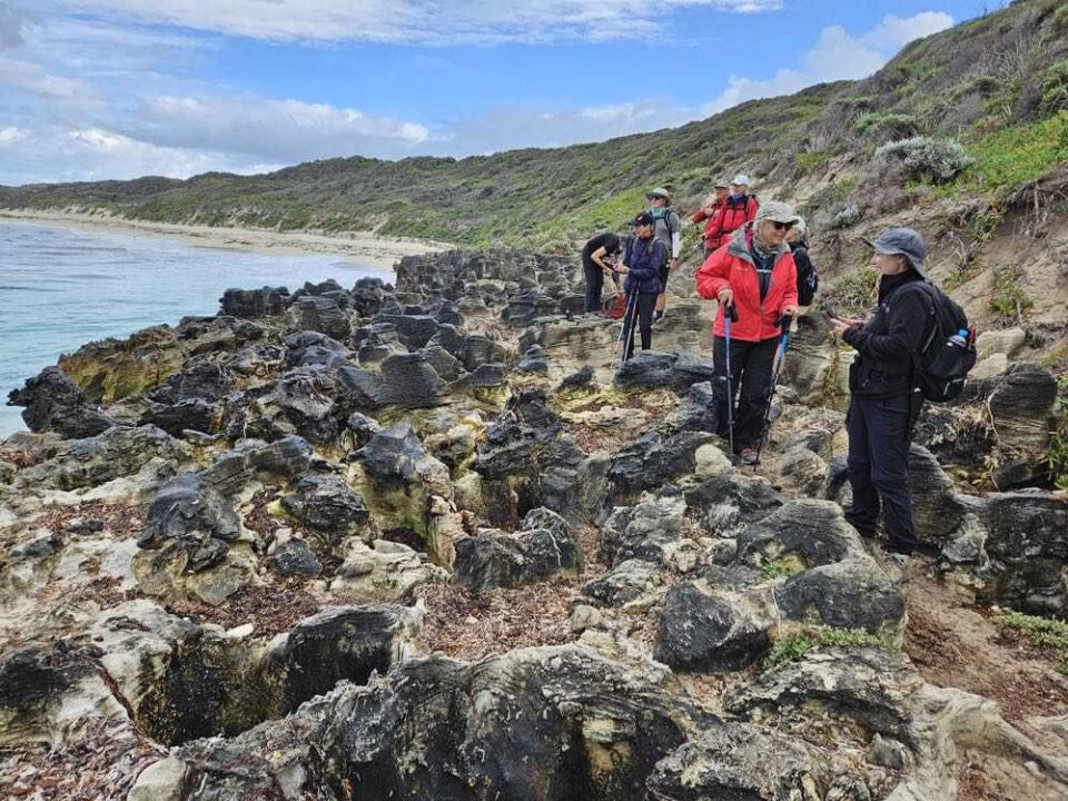 Guided Cape to Cape Track