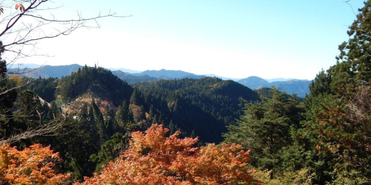 Walking The Nyonin-michi Women's Pilgrimage In Koyasan | Raw Travel