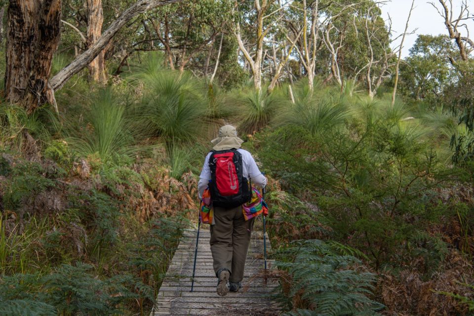 Mornington Peninsula hiking0001