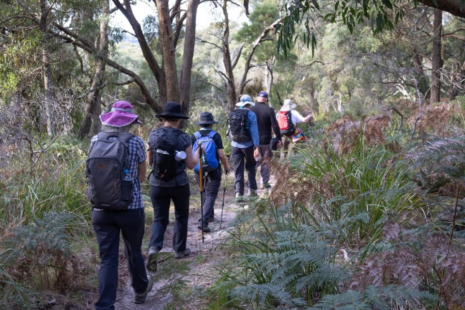 Mornington Peninsula hiking0014