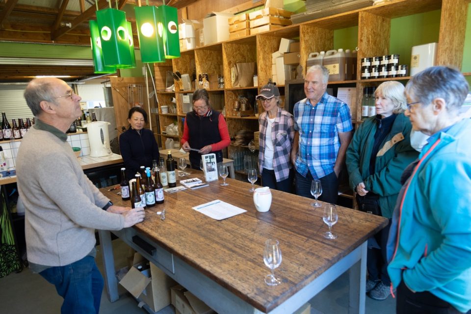 Mornington Peninsula hiking0018