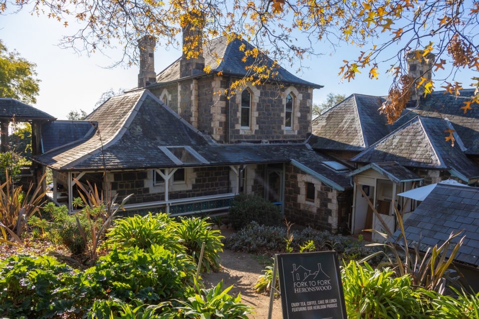 Mornington Peninsula hiking0019