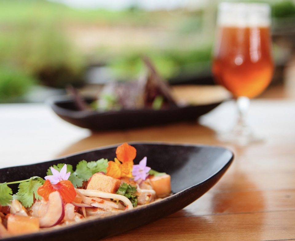 Byron Food and Wine - Destination NSW 0001 Byron Food and Wine - Destination NSW 0001
