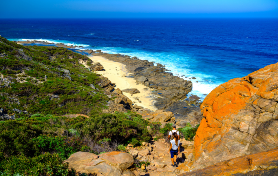 Cape to Cape Track with Meelup Trail