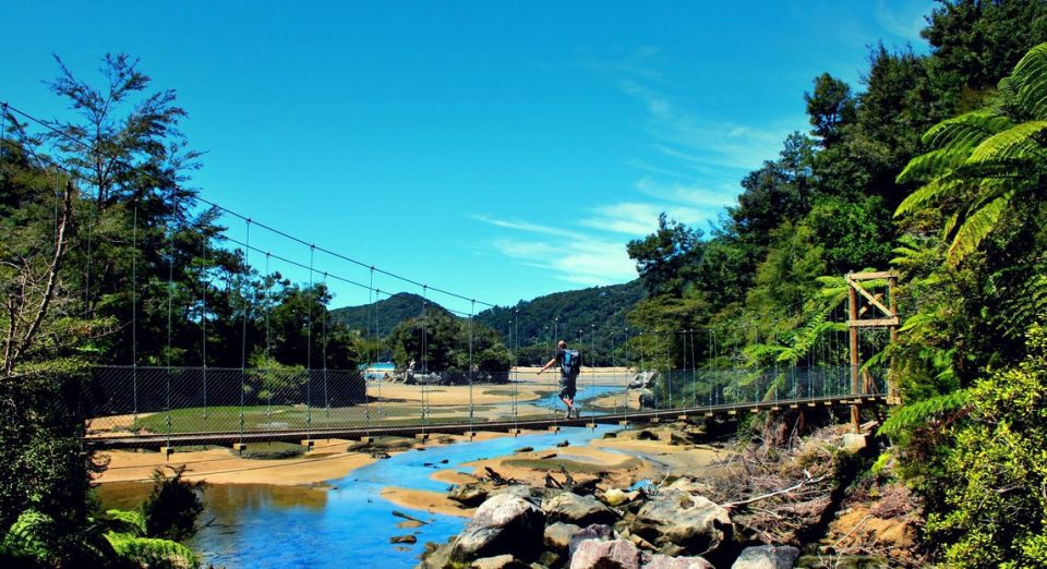 A hiker on a bridge, Queen Charlotte Track