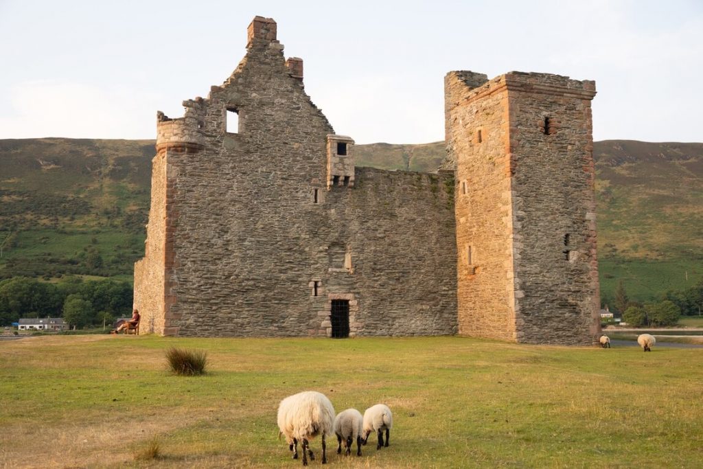 Arran Coastal Way ruins and sheep in a field