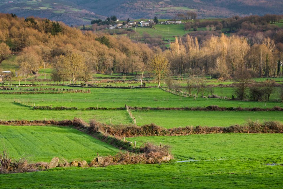 Farmland, Galicia, Spain