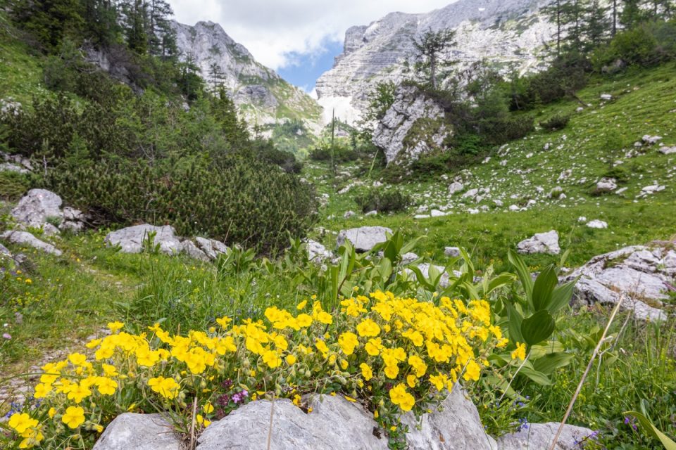 Triglav Hut-to-Hut Hike - Slovenia