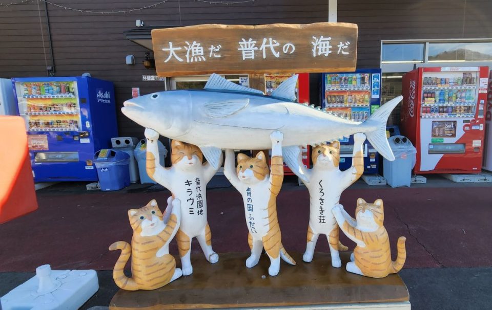 Michinnoku Coastal Trail Fudai