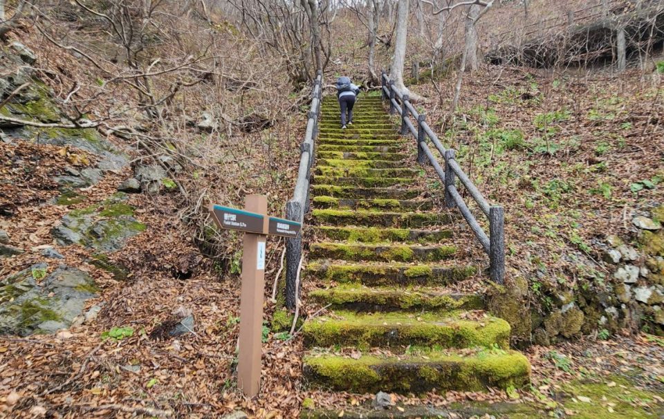 Michinoku Coastal Trail