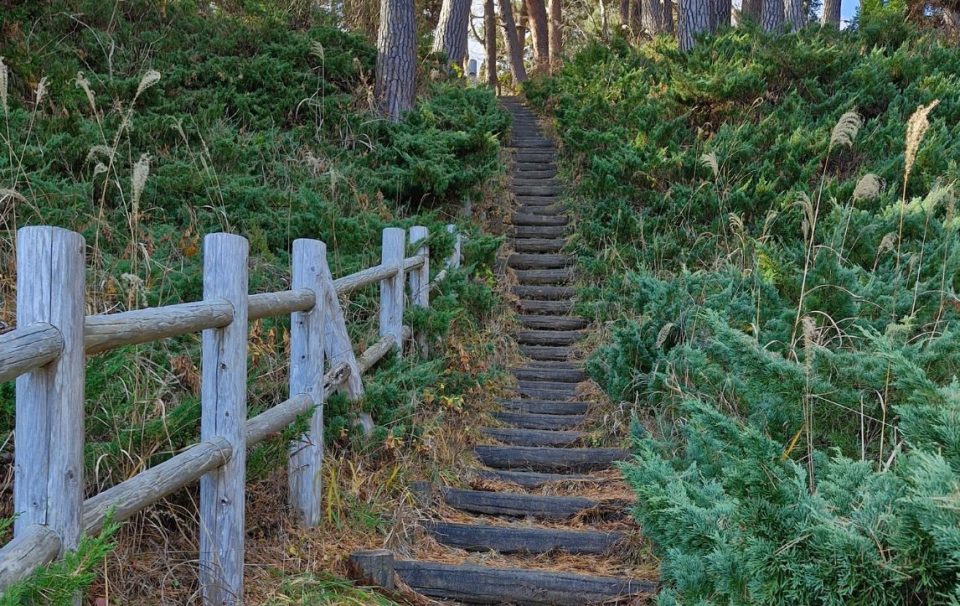Michinoku Coastal Trail