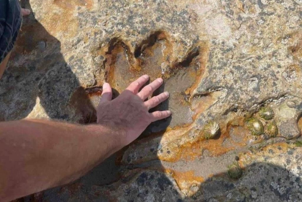 Closeup of a human hand placed on top of a dinosaur fossil footprint on a beach.
