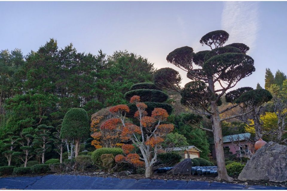 Michinoku Coastal Trail