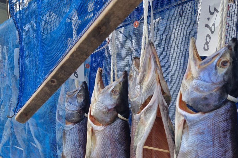 Michinoku Coastal Trail