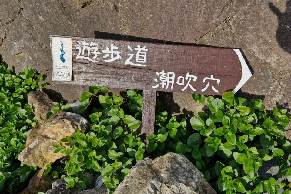 Michinoku Coastal Trail