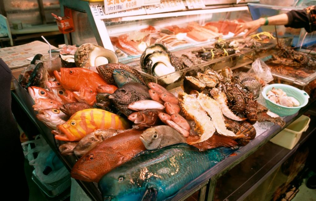 Display of brightly coloured fresh fish for sale at a market