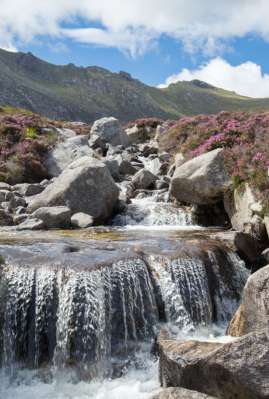 Waterfall cascading over rocks covered in purple heather with low mountains in the background