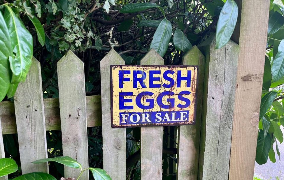 Large sign on a wooden gate saying Fresh Eggs For Sale