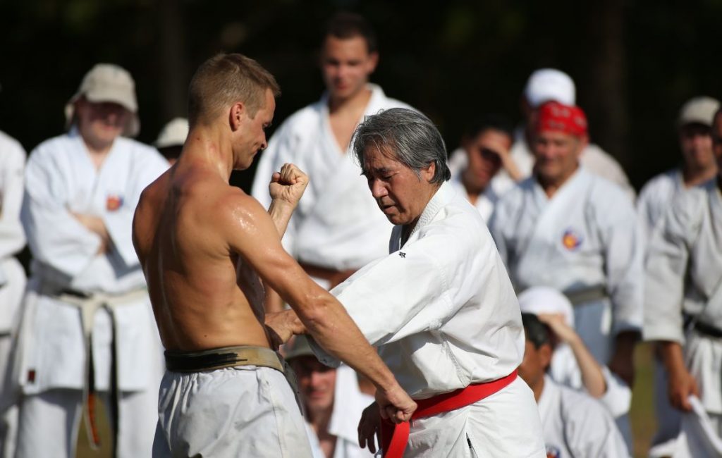 Two men, one in a white shirt and red belt, performing karate moves.