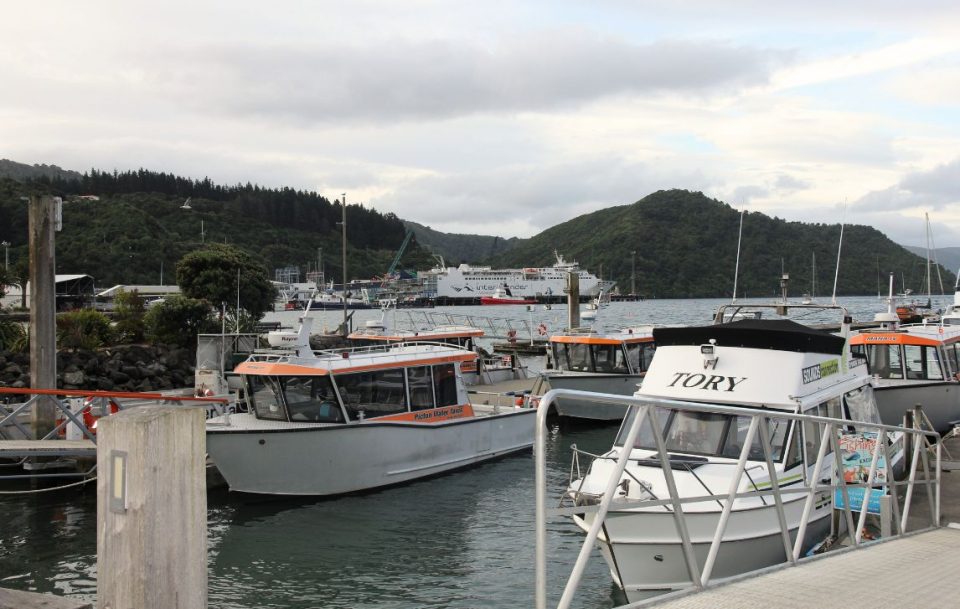 Boats in the bay on the Queen Charlotte Track New Zealand.