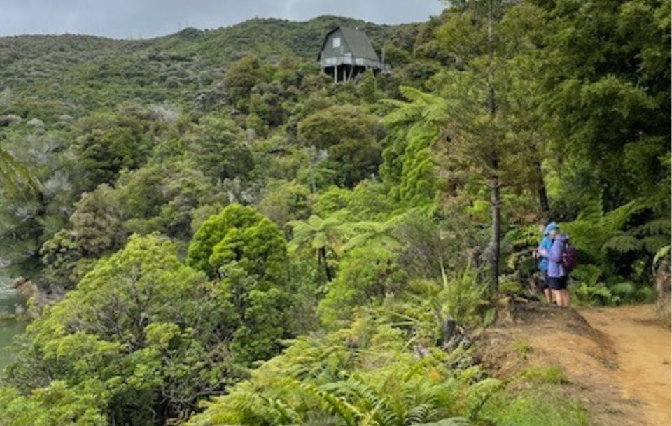 Queen Charlotte Track, New Zealand