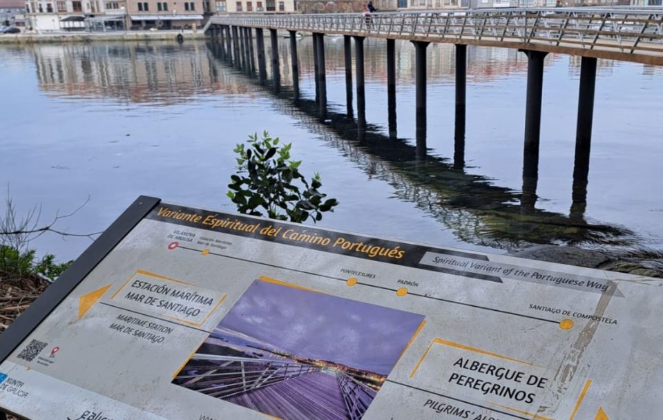 Spiritual Variant Portuguese Camino002