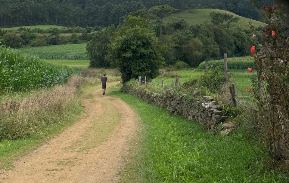 A hiker walking along a rural dirt road, enjoying the peaceful ambiance of the countryside around him.