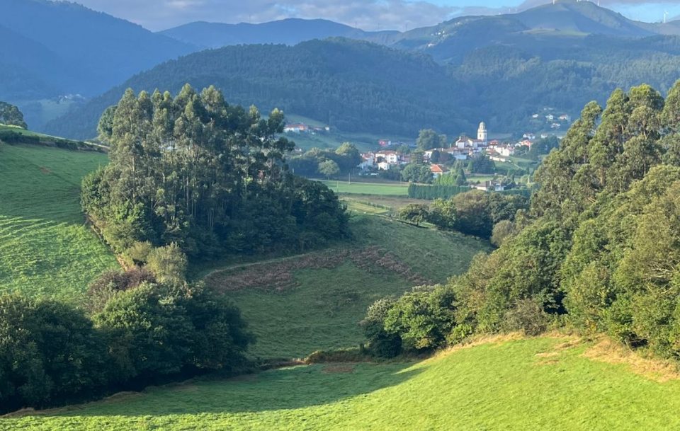 A serene green valley in Asturias in Northern Spain featuring a small town nestled in the distance, surrounded by lush landscapes.
