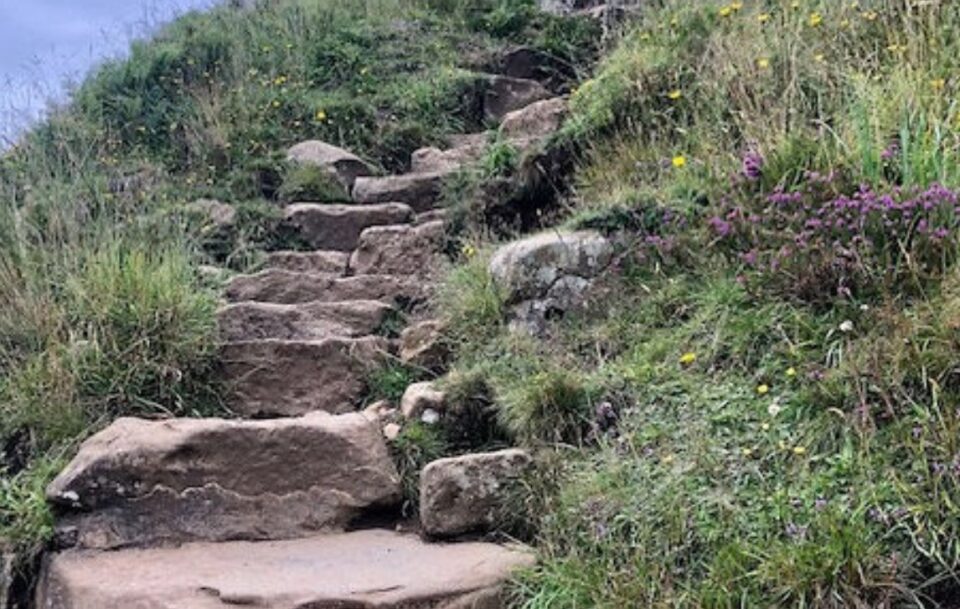 Steps, Hadrians Wall Path