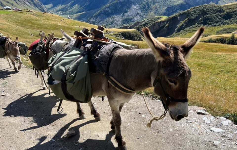 Tour du Mont Blanc012