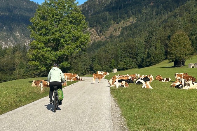 E-biking in Slovenia