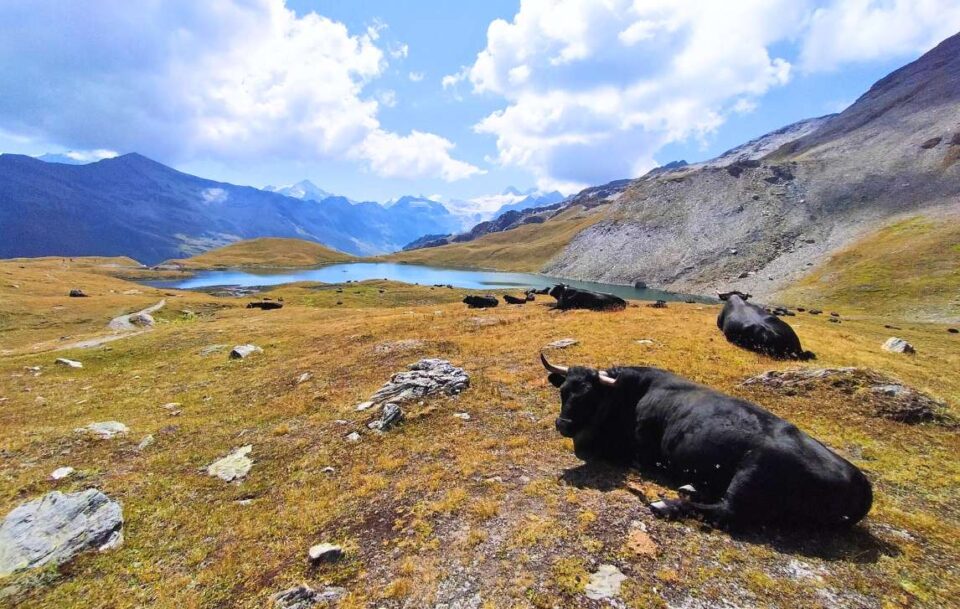Haute Route Switzerland Blue Lake and Alps