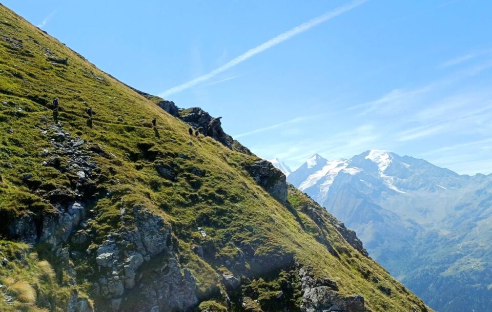 Hikers ascending a mountain on a very narrow path along the Walker’s Haute Route in Switzerland.