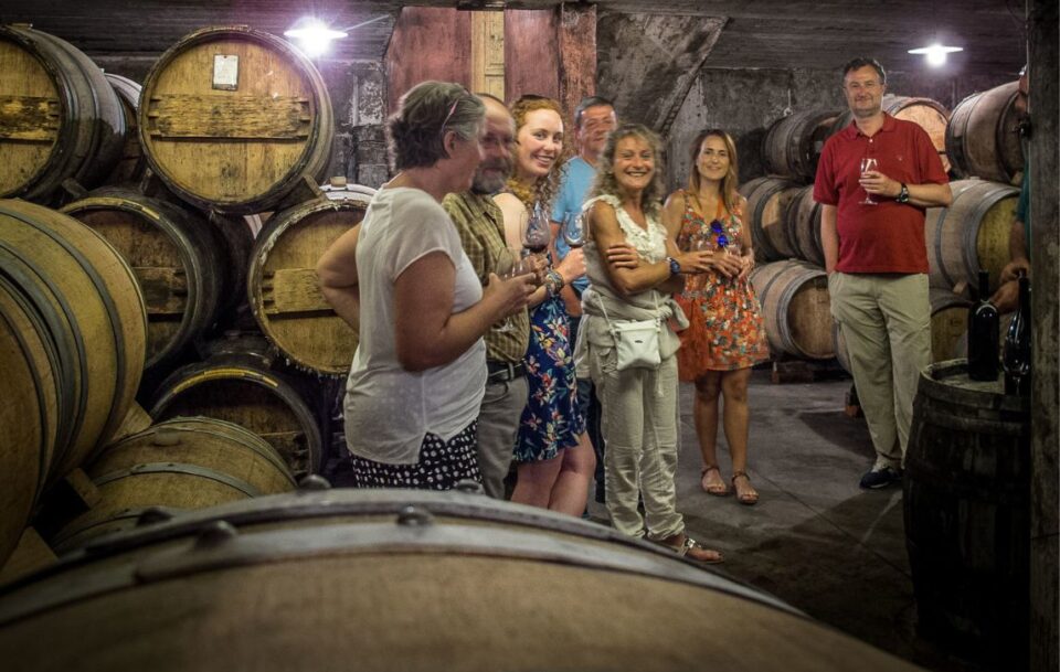 A group enjoying the cycling tour in Slovenia.