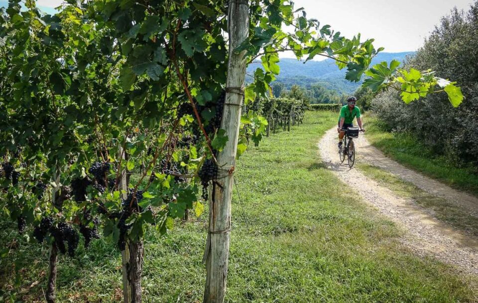 A cyclist on a dirt path in Slovenia.