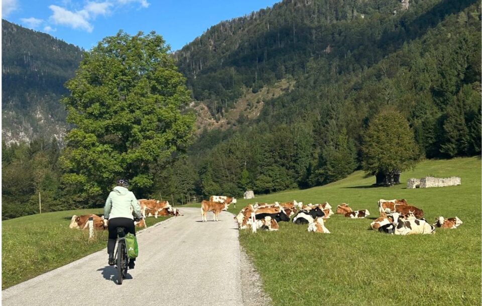 A ebike rider enjoying a ride in Slovenia.