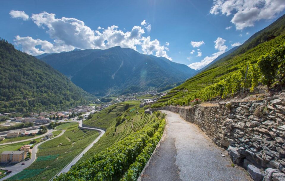 Lausanne to Great St Bernard Pass008