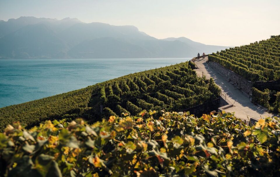 Via Francigena-Switzerland003