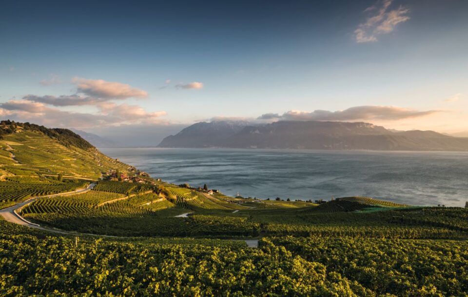 Via Francigena-Switzerland004