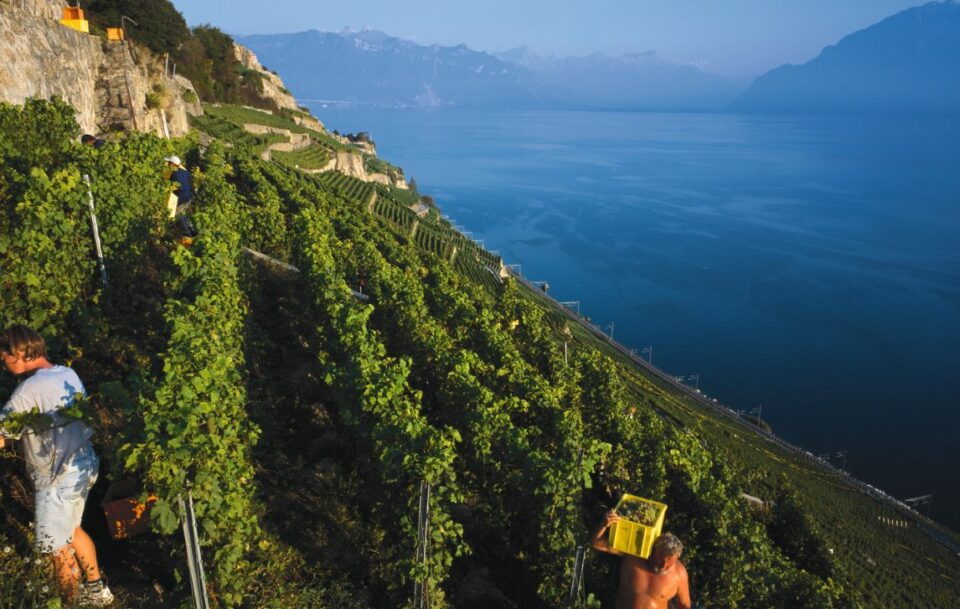 Via Francigena-Switzerland005