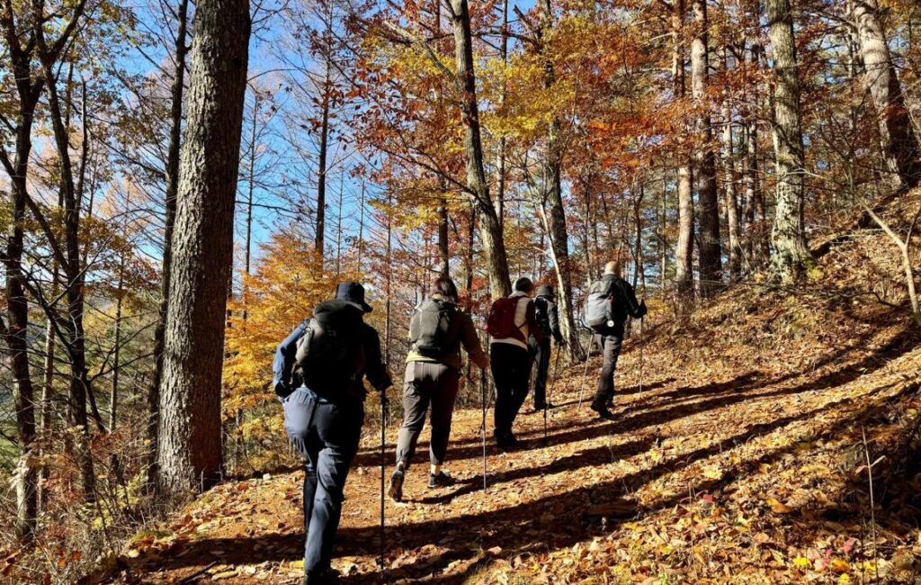 Hikers walking up an incline along the Nakasendo Trail, Japan.
