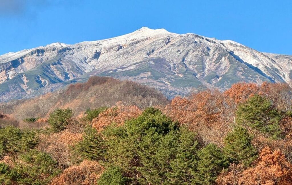 A snow capped peak in the background with Autumnal coloured trees in the foreground.