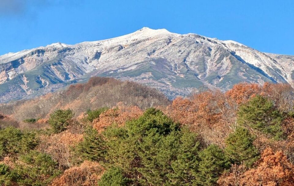 A snow capped peak in the background with Autumnal coloured trees in the foreground.