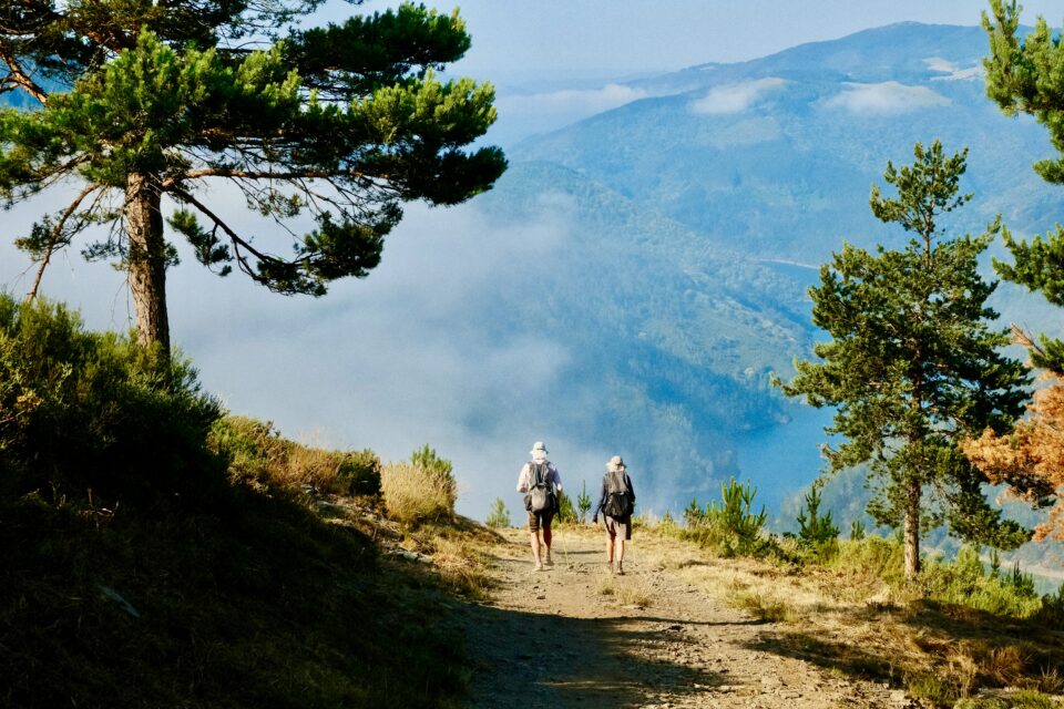 Camino Primitivo - Oviedo to Santiago
