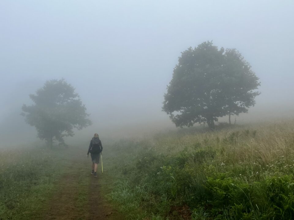 Camino Primitivo - Oviedo to Santiago