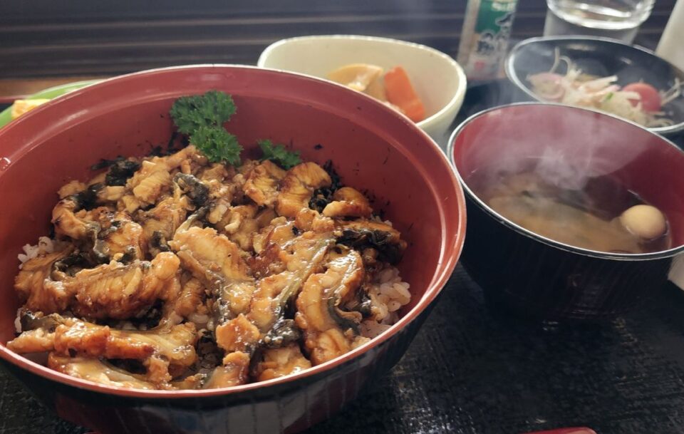 Japanese food