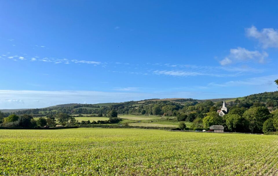 Sweeping meadow on the South Downs Way.