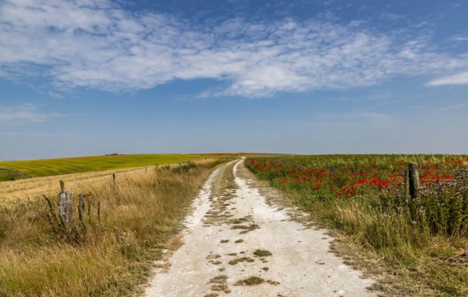 South Downs Way - Arundel to Eastbourne