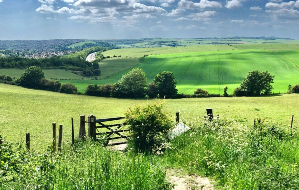 South Downs Way - Winchester to Arundel007