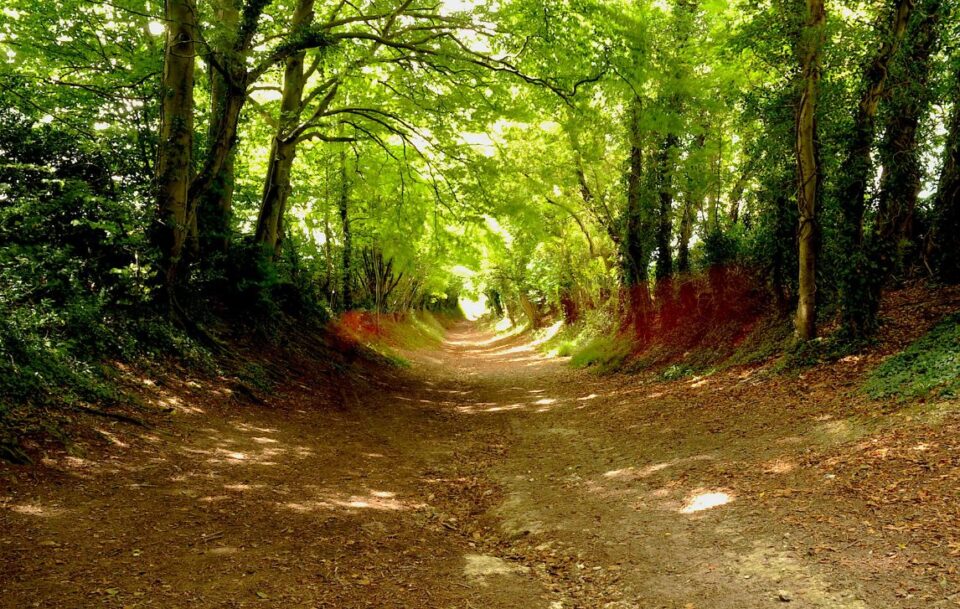 South Downs Way - Winchester to Arundel010